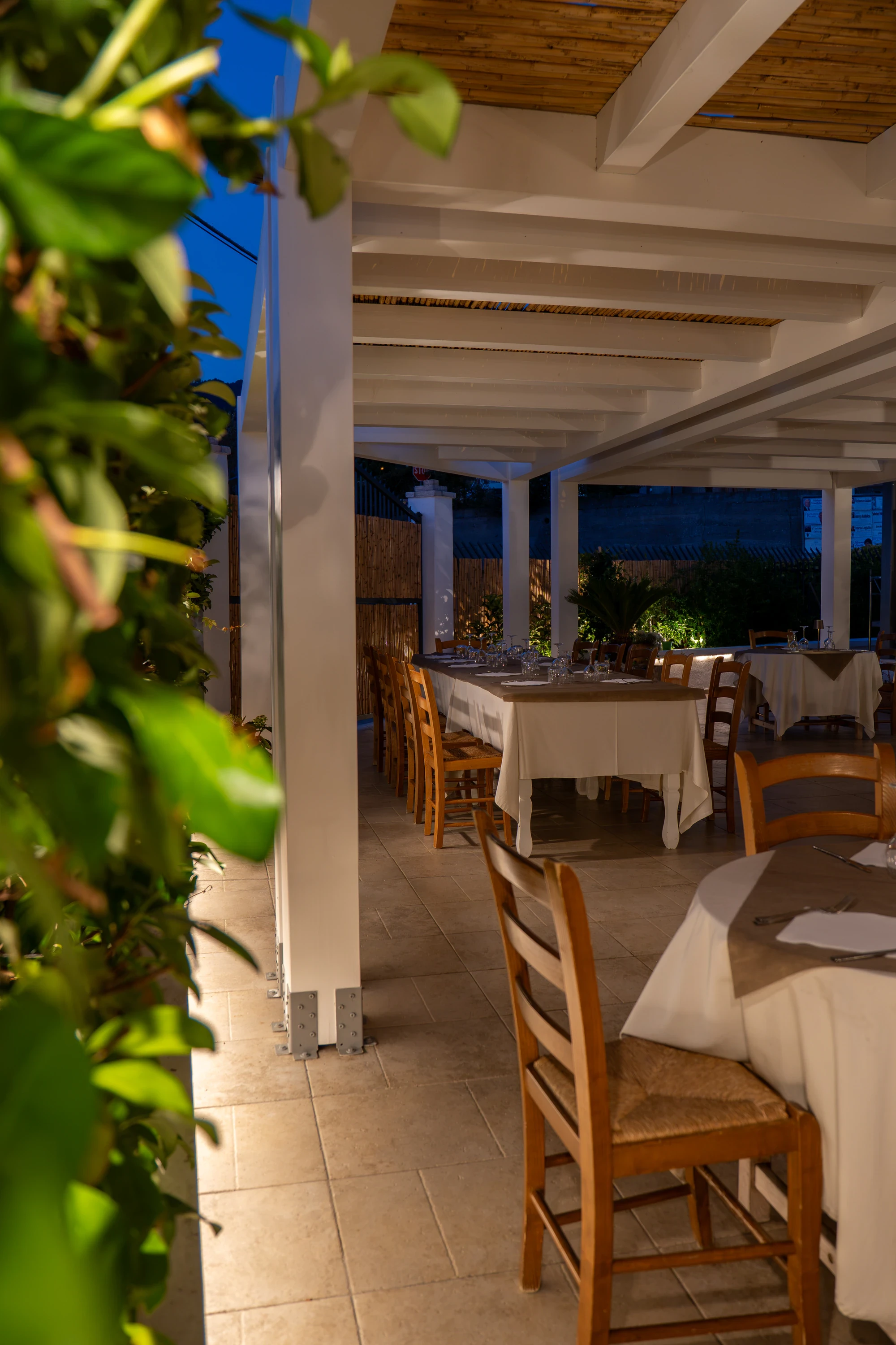 Terrazza esterna del Ristorante Le Mimose sotto un pergolato bianco, con tavoli apparecchiati per la cena