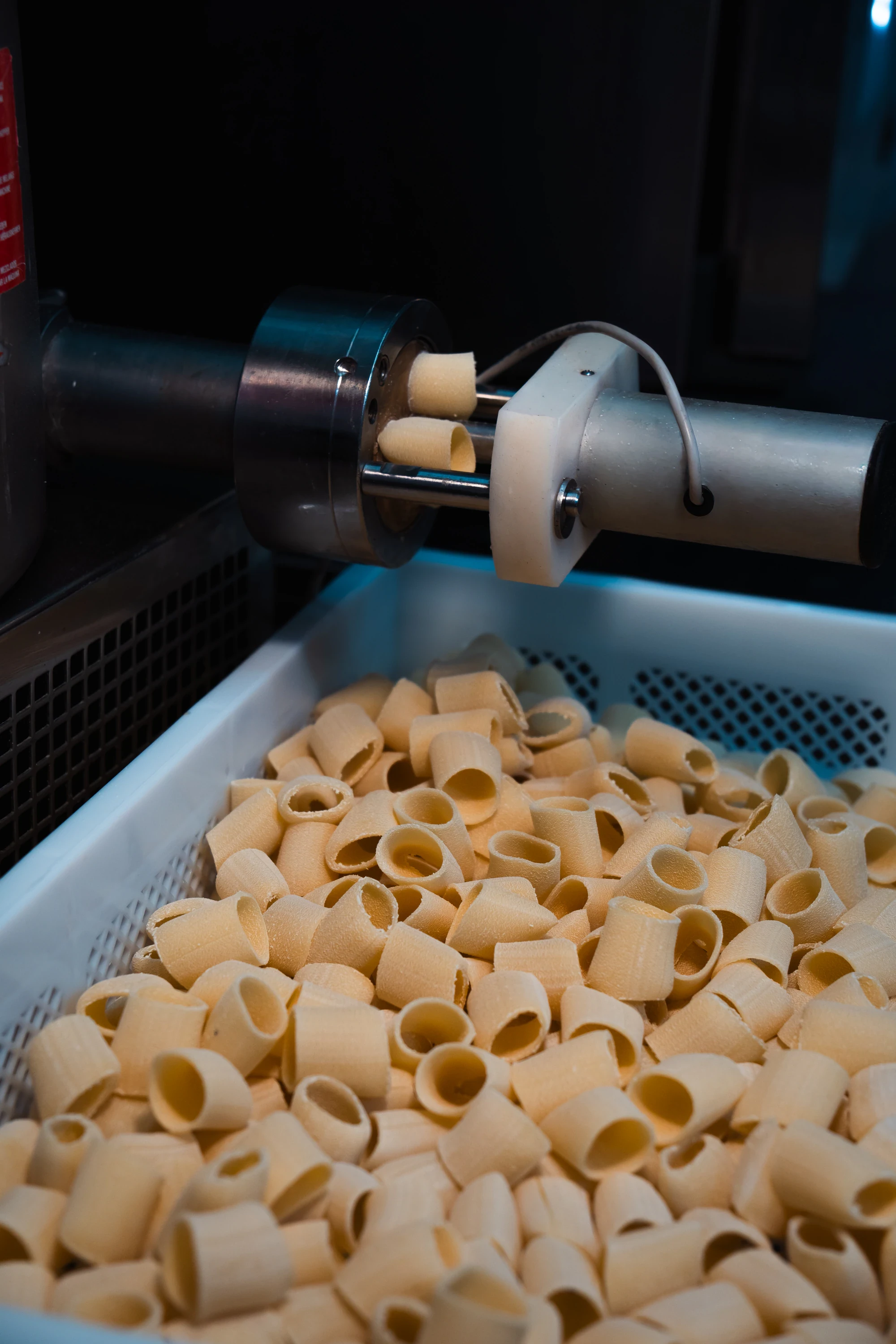 Pasta fresca estrusa dalla macchina, raccolta in una cassetta bianca